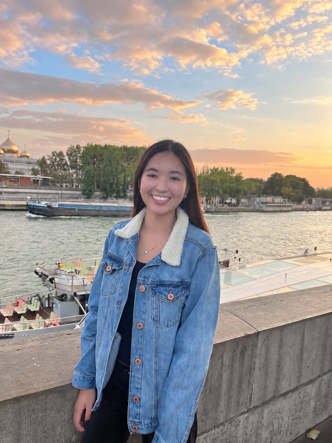 Nicola Iu, online GCSE Mathematics and A-Level Economics tutor